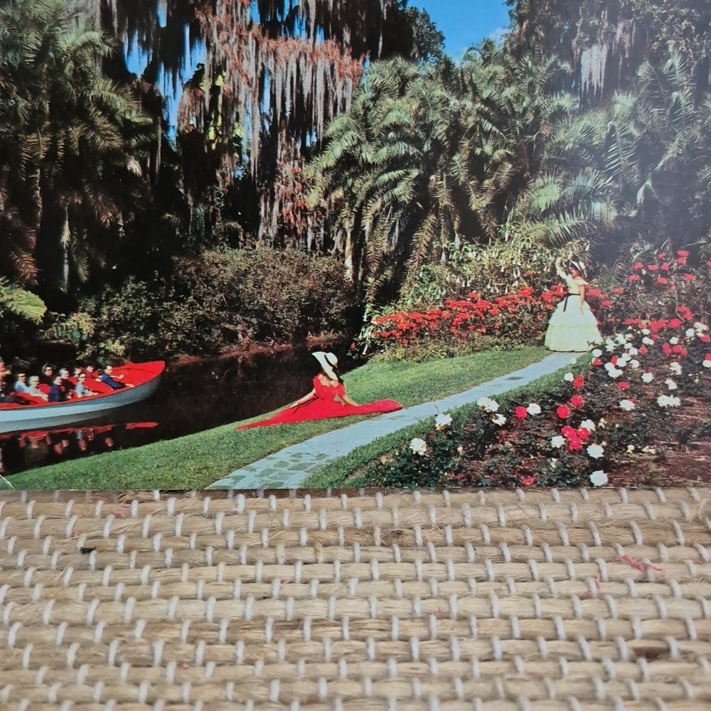 Vintage Cypress Gardens Florida Post Card